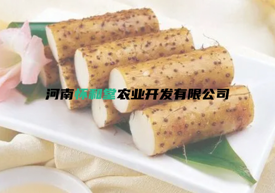 暂无内容